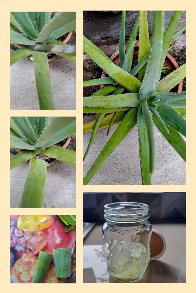 aloe vera Tips Pin 1