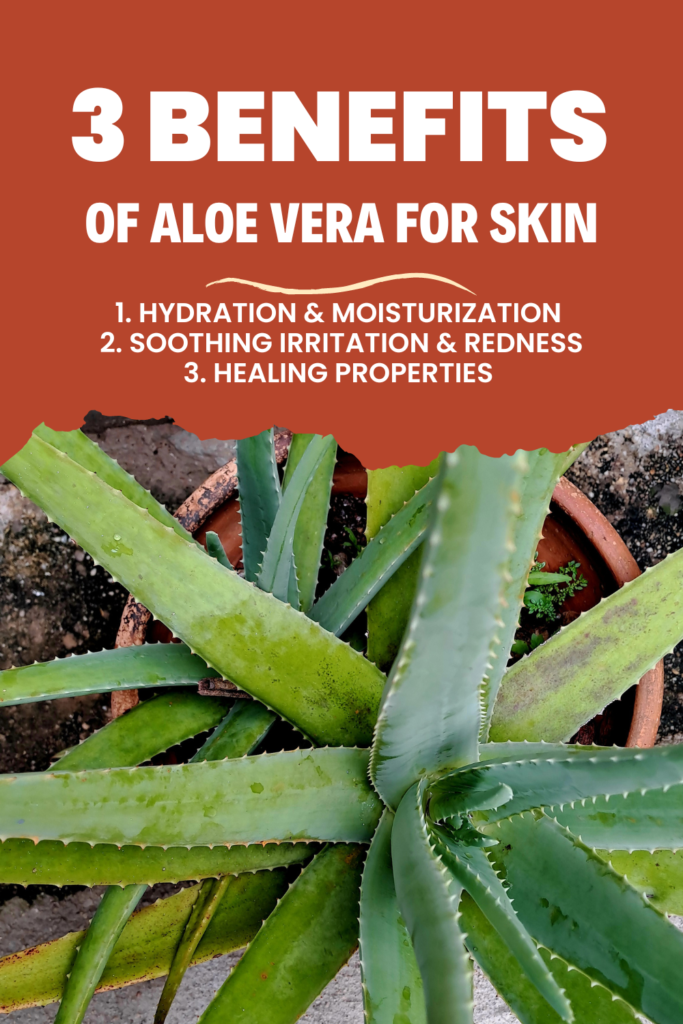 aloe vera Tips Pin